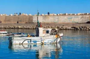 tipaza